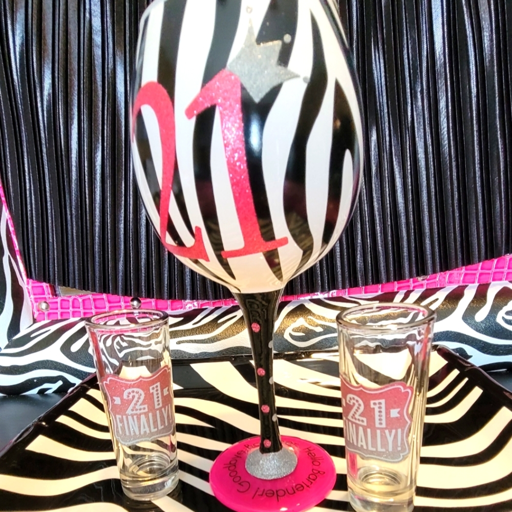 NWOT MUDPIE "FINALLY 21/HELLO BARTENDER GOODBYE BOUNCER" WINE & SHOT GLASSES SET
